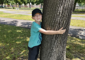 Chłopiec przytula się do drzewa